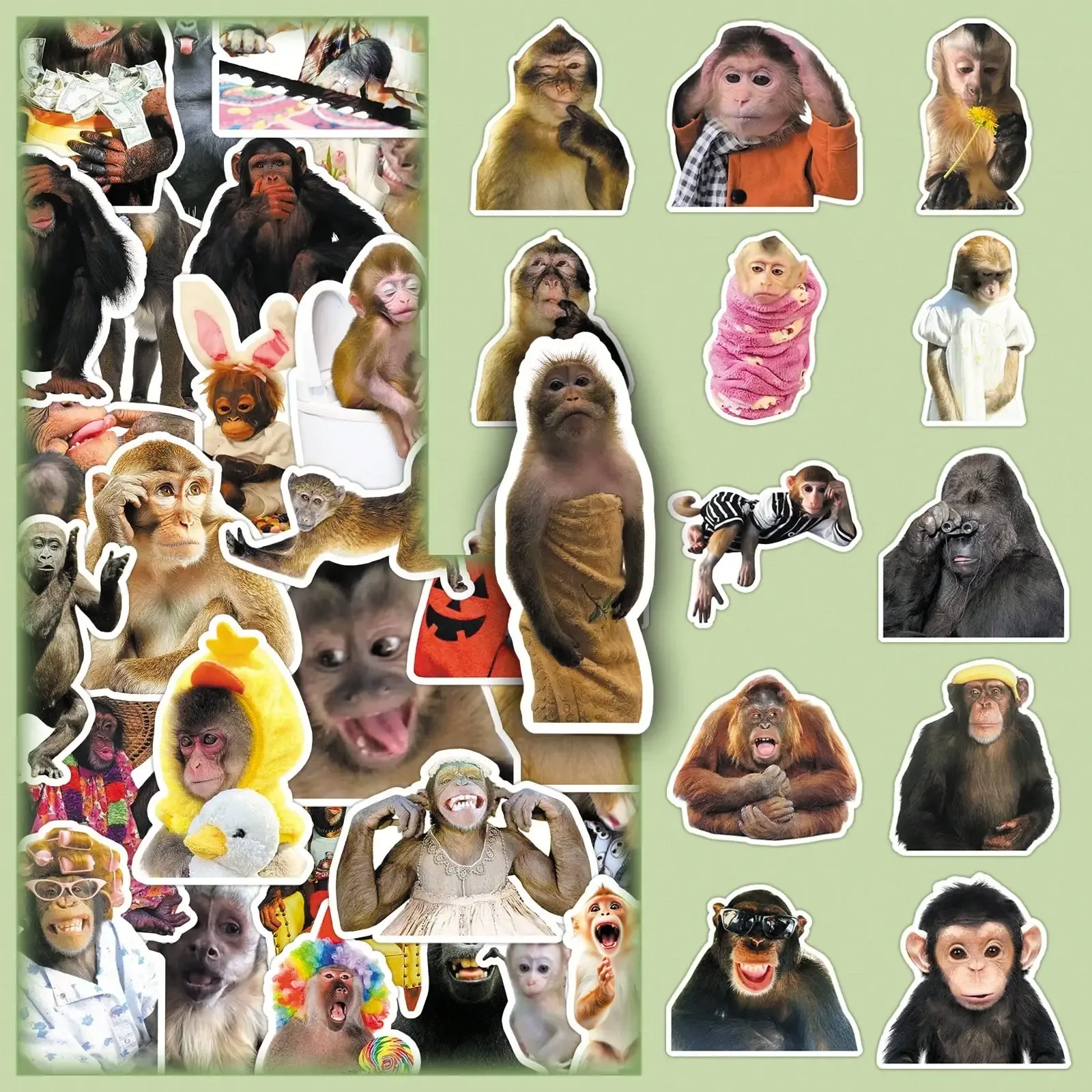 50 pieces of decorative wall stickers featuring a funny cartoon monkey design, perfect for phone cases.